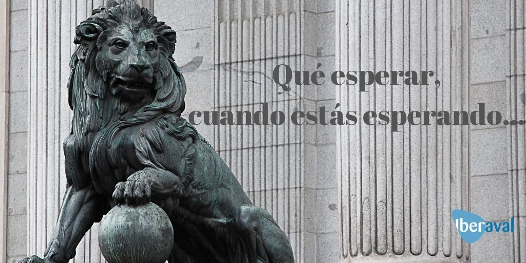 Que esperar pymes y autonomos