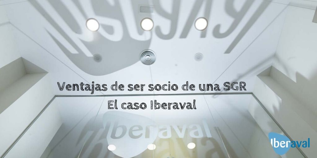 socio de una sociedad de garantía