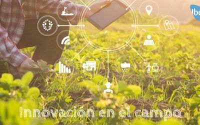 Innovación en el campo