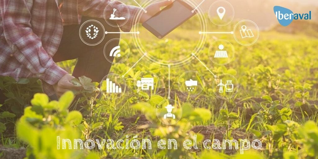 Innovación en el campo
