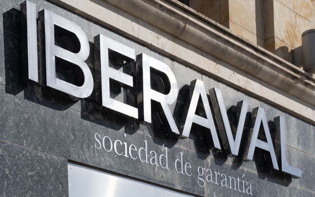 Iberaval y el ICE de Castilla y León facilitan en pandemia financiación a 3.461 proyectos empresariales